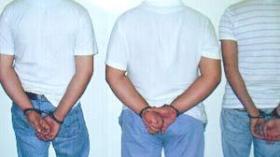 شبكة سرقة سيارات تبيّض أموالها وتخفي موظفا متورطا في السطو على بطاقات رمادية