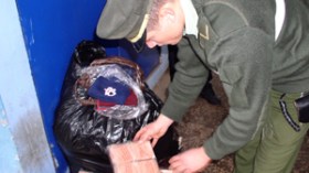 الجزائر “تقاطع” قمة دول الساحل لمحاربة الجريمة والمخدرات بمالي