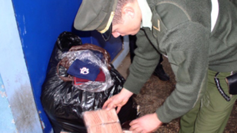 الجزائر “تقاطع” قمة دول الساحل لمحاربة الجريمة والمخدرات بمالي