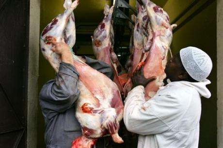 Marseille recherche des abattoirs désespérement pour l'aid el kébir