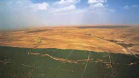 وزارة الفلاحة تتحدث عن إحياء السد الأخضر