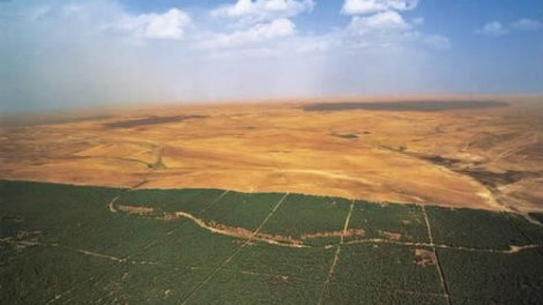 وزارة الفلاحة تتحدث عن إحياء السد الأخضر