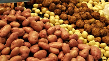 Le prix de la pomme de terre connaîtra une baisse d’ici la semaine prochaine