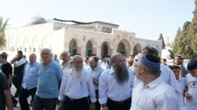 الصهاينة يدنسون باحة الأقصى انتقاما لرشق حائط البراق بالحجارة