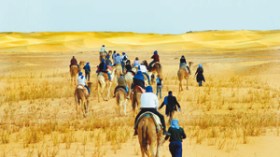 الأسكرام بدل الأهرام للاحتفال برأس السنة