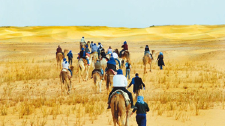 الأسكرام بدل الأهرام للاحتفال برأس السنة