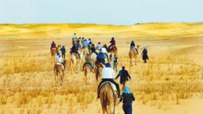 “من العيب أن تكذبوا علينا.. والجزائر بلد آمن”