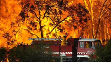 Australie: au moins 96 morts dans des incendies sans précédent