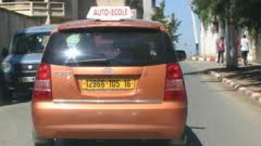 Details on driving licence with penalty points in Algeria