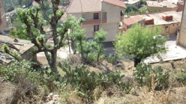 Des terroristes ont transformé une fête de mariage en deuil : 5 morts et 6 blessés à Tébessa