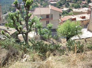 Des terroristes ont transformé une fête de mariage en deuil : 5 morts et 6 blessés à Tébessa