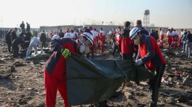 فرنسا تعرض المساعدة في التحقيق بشأن سقوط الطائرة الأوكرانية