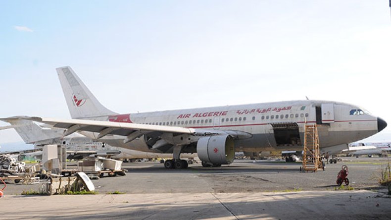 الخضر الجزائرية مطلوبة إفريقيا.. وطائرات “الكارغو” تعطل العملية!