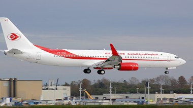 Des sangliers à l’aéroport d’Oran
