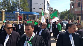 المحامون يشلون المحاكم دعما للحراك الشعبي