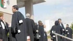محامو الجزائر مختلفون عن محاميي تونس وليبيا ومصر وسوريا