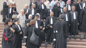 إتحاد المحامين يطالب بالنصوص التطبيقية  والتنظيمية لقانون المحاماة