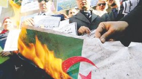 محامو مصر  يتحولون الى “بلطجية” ويحرقون العلم الجزائري