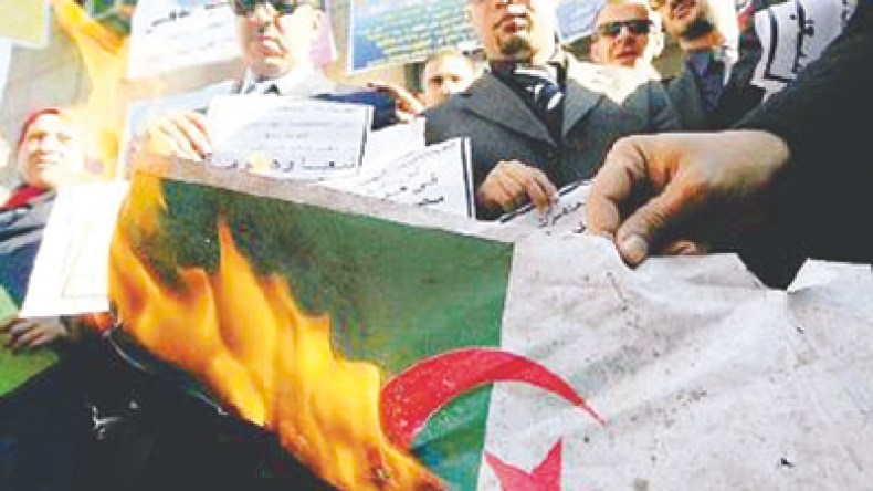 محامو مصر  يتحولون الى “بلطجية” ويحرقون العلم الجزائري