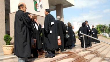 Alger : manifestation des robes noires