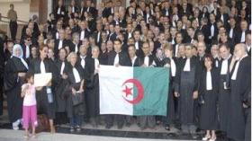 المحامون الجزائريون يشجعون الخضر ويتوقعون حدوث المفاجأة