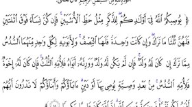 الإرث يسبّب 70 بالمائة من النزاعات العائلية بالجزائر