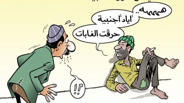 الفساد يطال الثروة الغابية