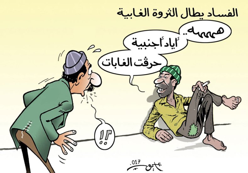 الفساد يطال الثروة الغابية