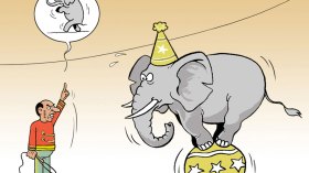 ترويض الفيل