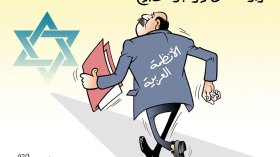 الأنظمة العربية