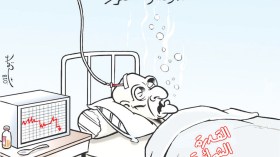 هدوء.. واستقرار