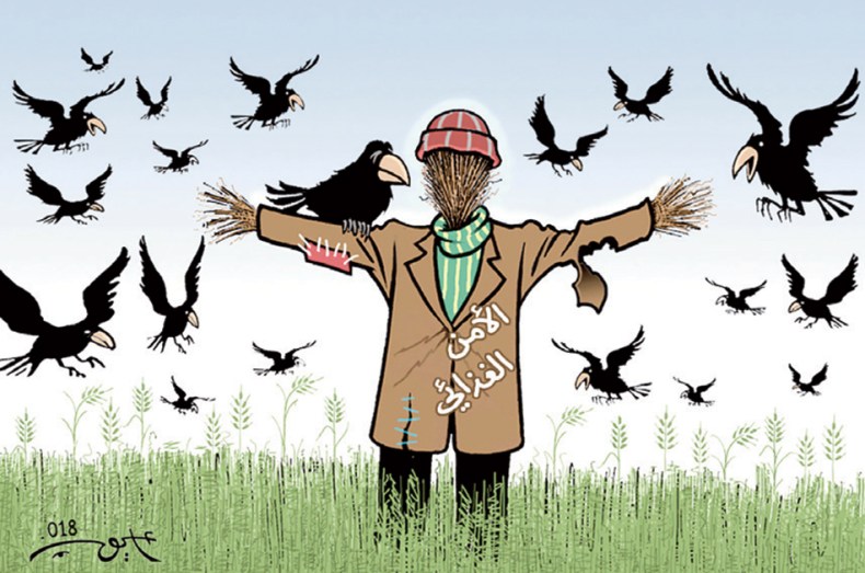 الأمن الغذائي