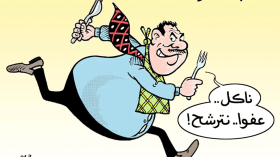 الإنتخابات المحلية