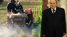 شيخوخة الفلاحين تقلق بوتفليقة