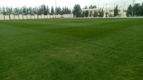 ميدان تدريب ثالث بِعشب طبيعي في مركز سيدي موسى