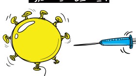 بداية التلقيح