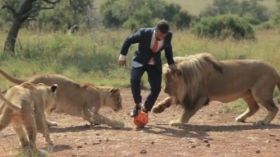 جنوب إفريقي يداعب الكرة مع 3 أسود!؟