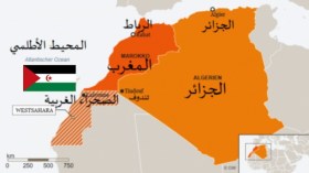 ماراطون في بلجيكا دعمًا للصحراء الغربية
