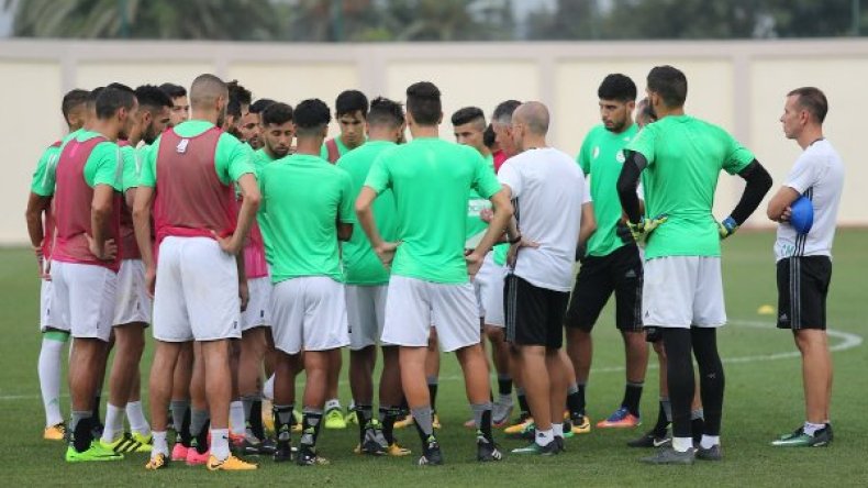 آخر أخبار “الخضر”