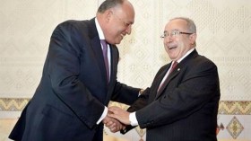شكري: الجزائر ومصر تنساق حول المسائل العربية والإفريقية