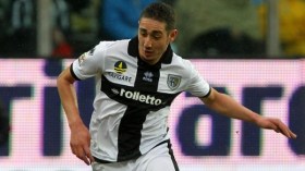 بولونيا تريد جلب بلفضيل