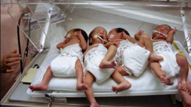 Le nouveau centre national FIV opérationnel en septembre prochain