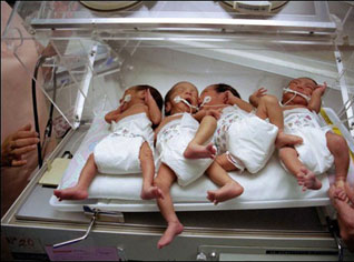 Le nouveau centre national FIV opérationnel en septembre prochain