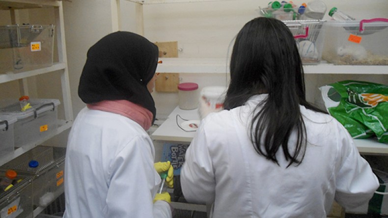 فرع البيولوجيا بجامعة باب الزوار مشلول