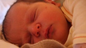 Network specialized in illegitimate infants' trading disbanded by security forces