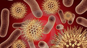 طالبة جامعية تحطم الرقم القياسي في البحث عن أخطر بكتيريا المستشفيات