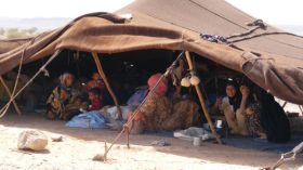 تعيش في قطيعة مع التكنولوجيا وتستقبل الضرّة بصدر رحب