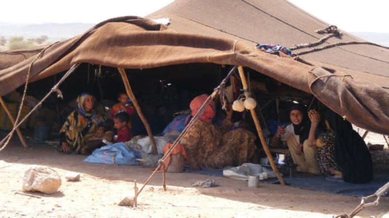 تعيش في قطيعة مع التكنولوجيا وتستقبل الضرّة بصدر رحب