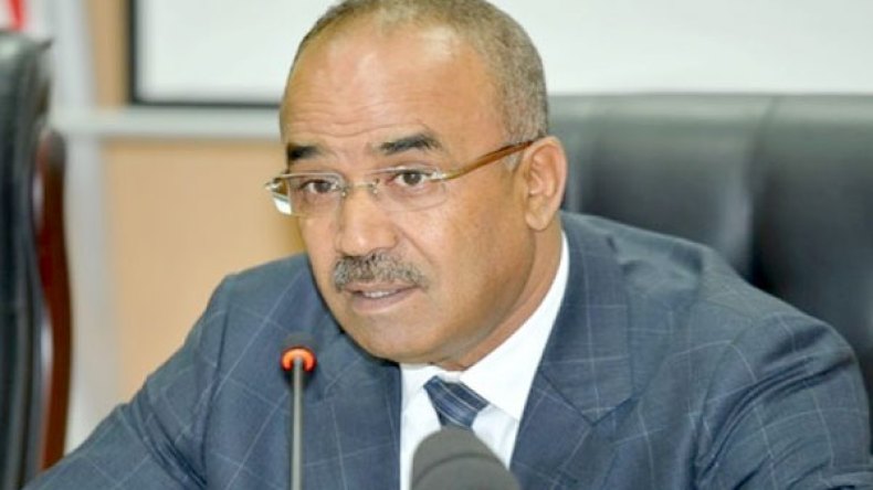 بدوي: الدولة غير قادرة على تحمل أعباء الاستثمار وحدها