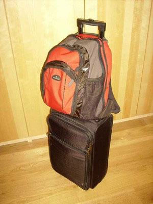 Â« Salafist group Â» adopts the Â« mined bags Â» to implement terrorist attacks